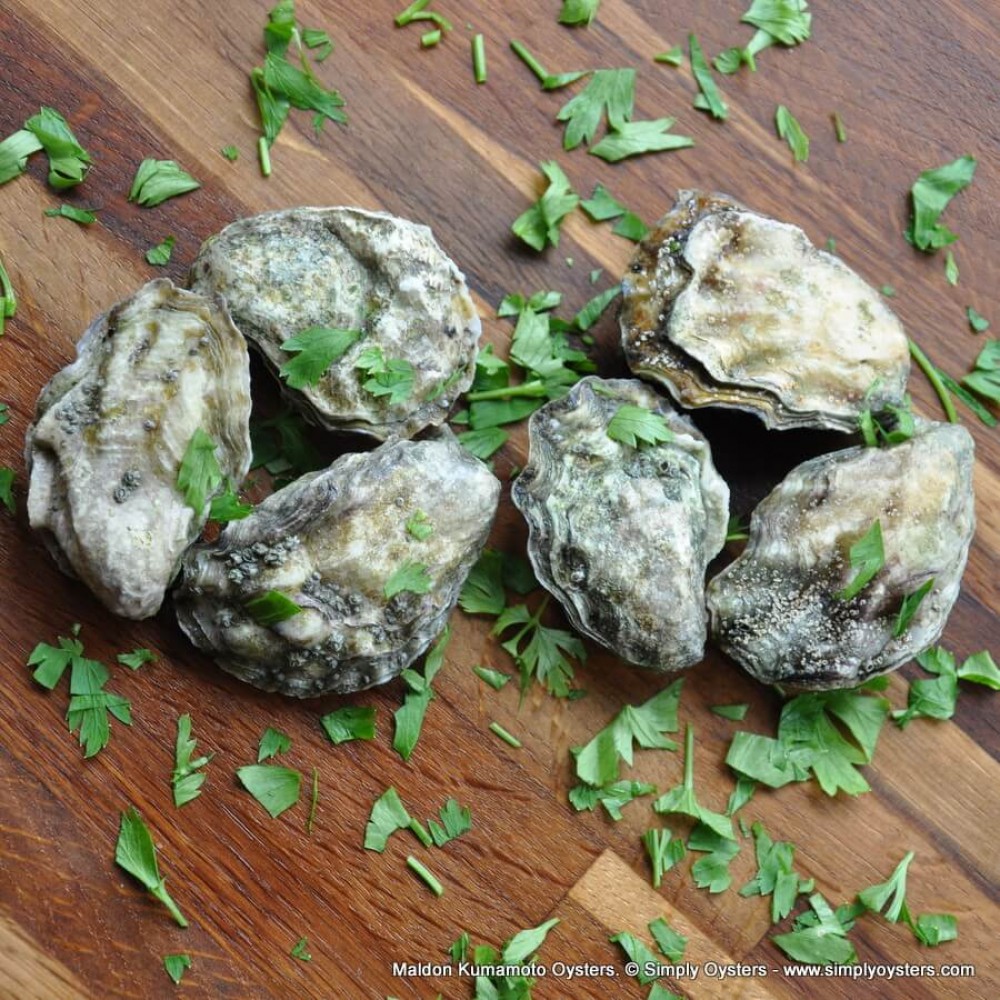 Maldon Kumamoto Oysters Buy Online UK Delivery Simply Oysters